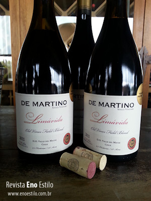 vinho-chileno-de-martino-revista-eno-estilo-3