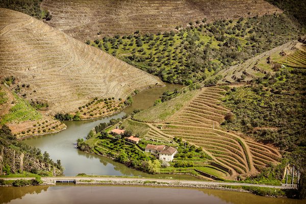 600-quinta-fozceira-2-porto-bulas-revista eno-estilo