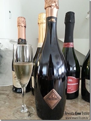 revista-de-vinhos-enoestilo-nieto-senetiner-5