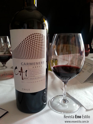 vinho-terranoble-ca1-revista-de-vinhos-eno-estilo-2
