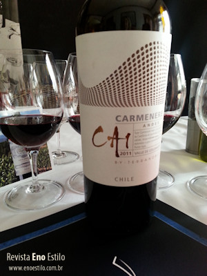 vinho-terranoble-ca1-revista-de-vinhos-eno-estilo