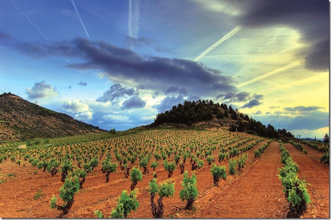 rioja-vinhedos-660