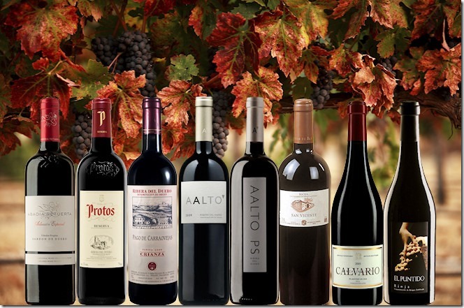 vinhos-destaques