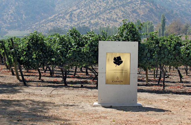 vina-carmen-660