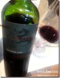 revista-eno-estilo-vinhos-destaque-chile-8