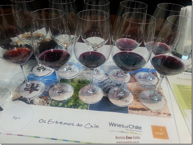 revista-eno-estilo-wines-of-chile-2014-01