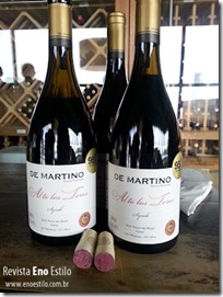 vinho-chileno-de-martino-revista-eno-estilo-1