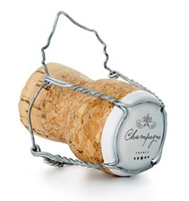champagne-revista-eno-estilo-2