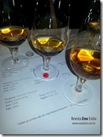 revista-de-vinhos-eno-estilo-vinhos-de-anfora-gravner
