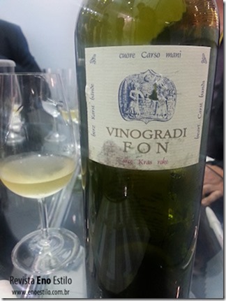 vinogradi-fon-revista-eno-estilo