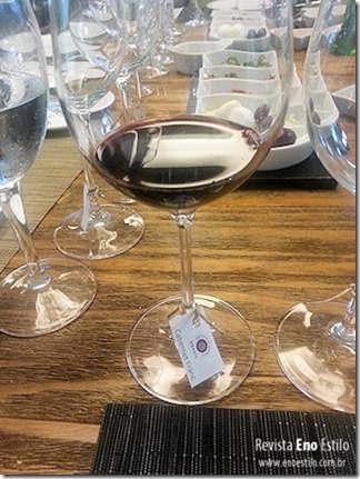 cabernet-franc-revista-eno-estilo