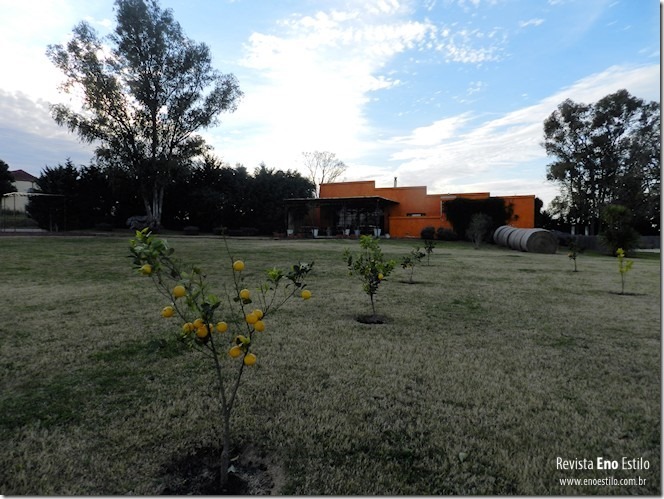 Vista interna da Bodega e Posada Campo tinto na revista Eno Estilo