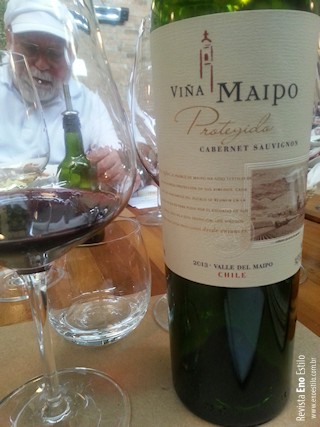 vinho-protegido-vina-maipo-revista-eno-estilo