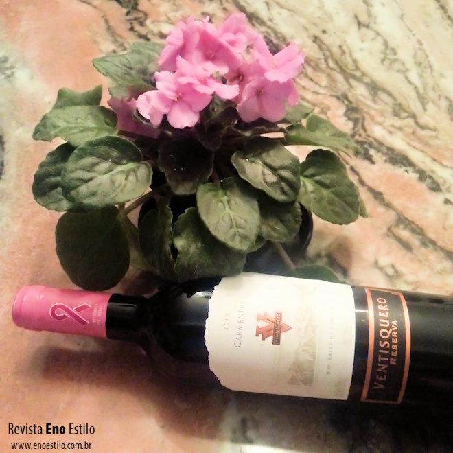 vinho-ventisquero-contra-o-cancer-revista-eno-estilo