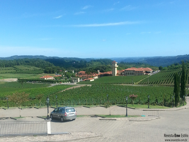 Projeto Winemaker da Miolo Vista da Miolo - Lote 43