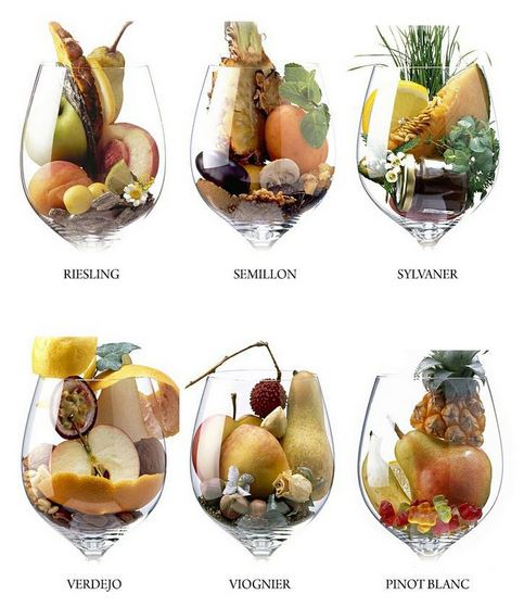 aromas-vinho