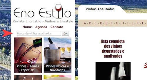 busca-area-vinhos-analisados-revista-enoestilo500