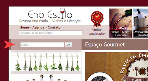 busca-canais-pares-revista-enoestilo-500