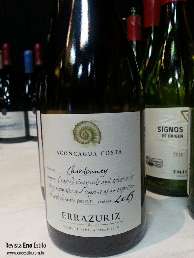 aconcagua-costa-errazuriz