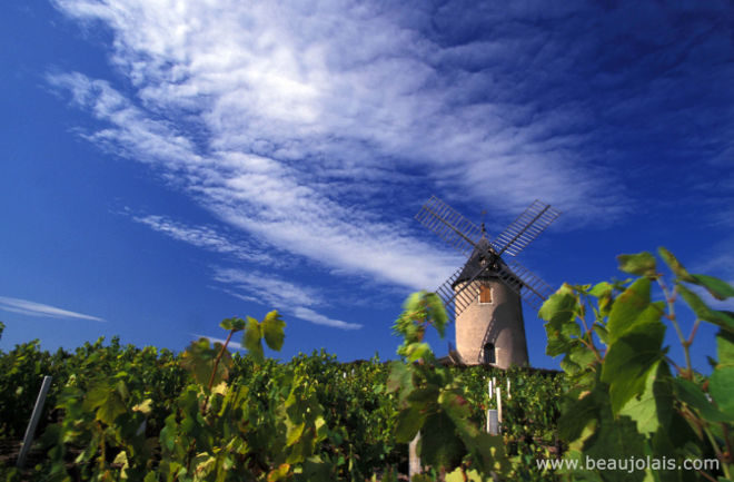 660-moulin-a-vent-ete-gillet-inter-beaujolais-copyright