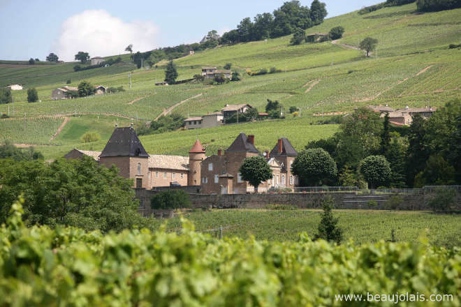 Região de Juliénas | Beaujolais – França (*)